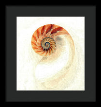 Load image into Gallery viewer, Nautilus - Framed Print