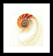 Load image into Gallery viewer, Nautilus - Framed Print