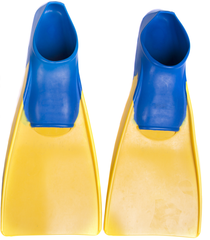 swim fins side by side