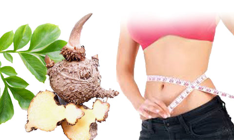 The Benefits of Konjac: is it a Real Weight Loss Solution ? 