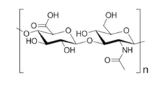 Hyaluronic-Acid