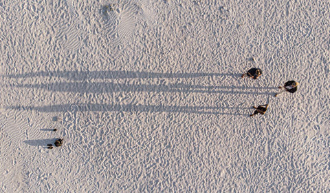 Drone img of three people on white sand beach