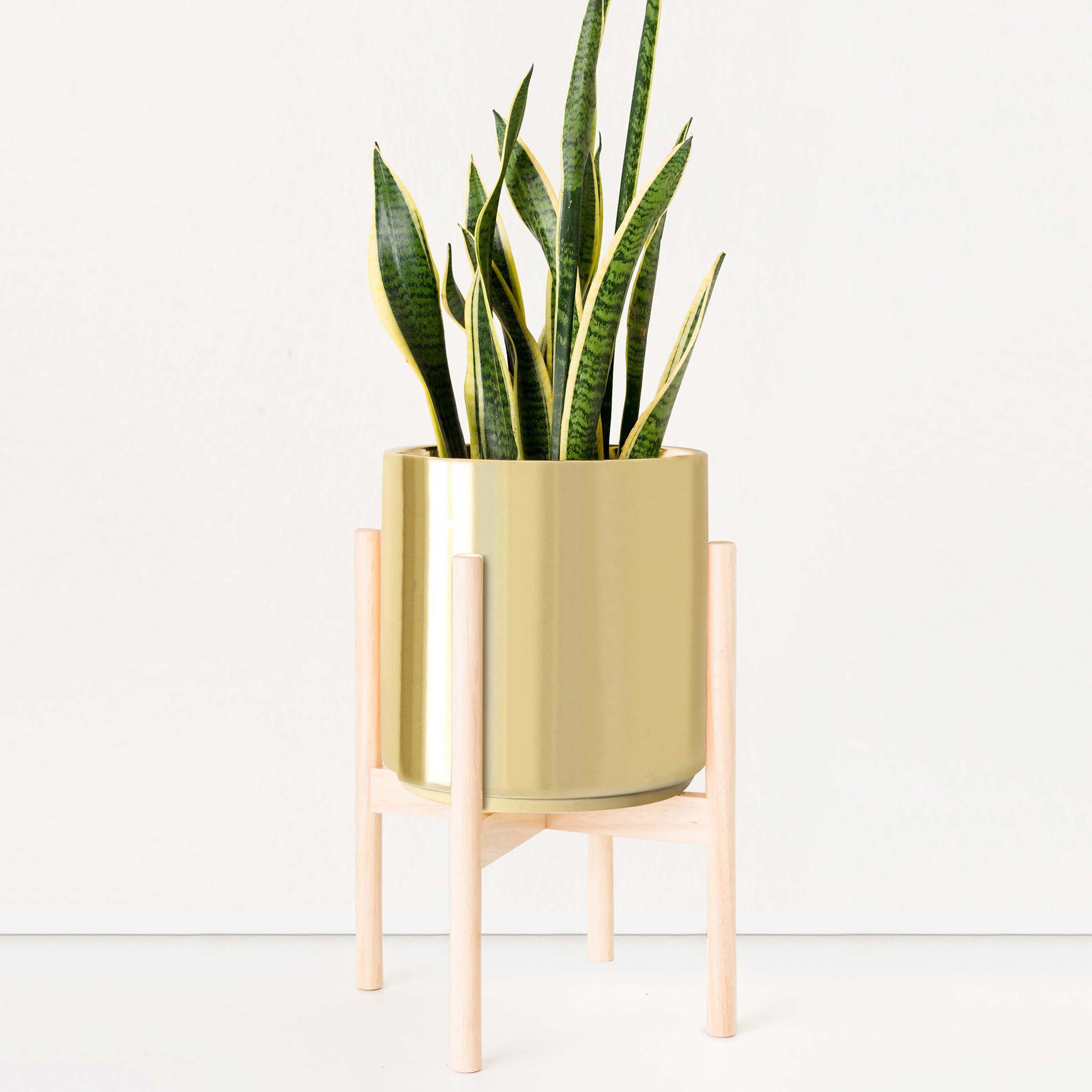 Classic Ceramic Planter + Wood Stand