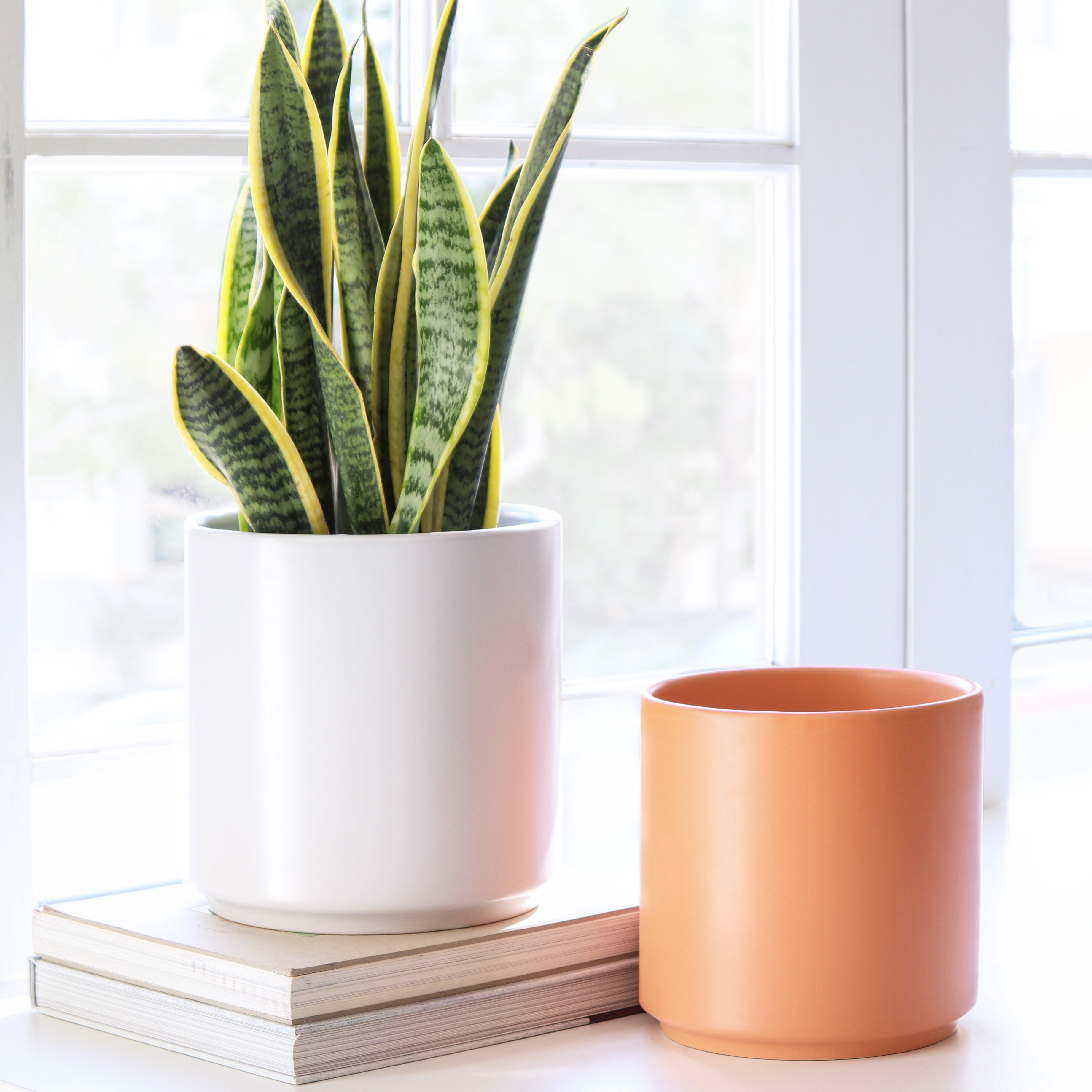 Peach and Pebble Peach Ceramic Planter Modern Plant Pot