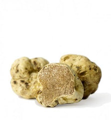 Tuber Magnatum - Fresh White Truffle ( Alba Truffle) From Italy