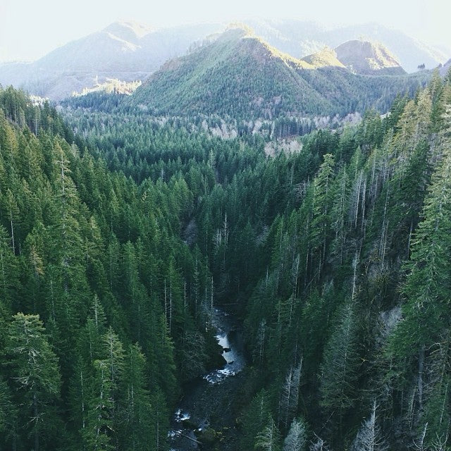 Vance Creek Bridge Patch