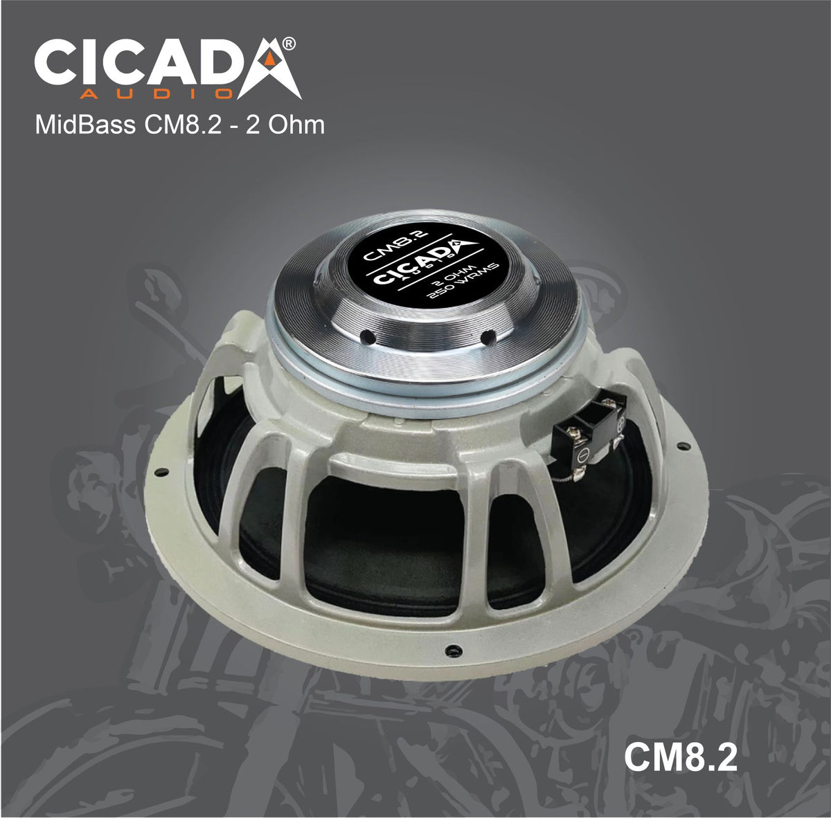 2 ohm midbass