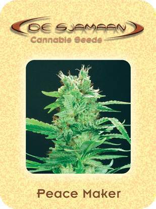 Peace Maker Peace Maker Marijuana Seeds
