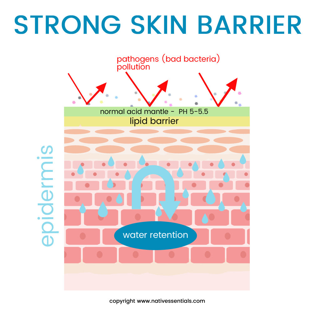 Native Essentials Skincare | Strong skin barrier