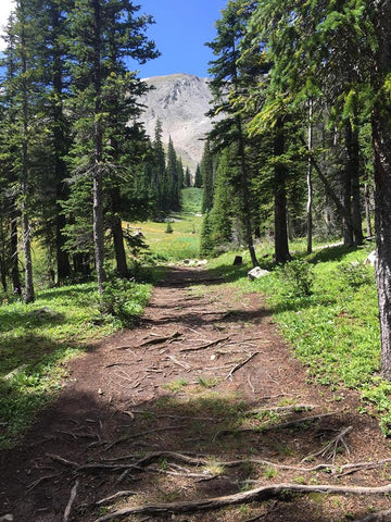 lightheart gear on colorado trail