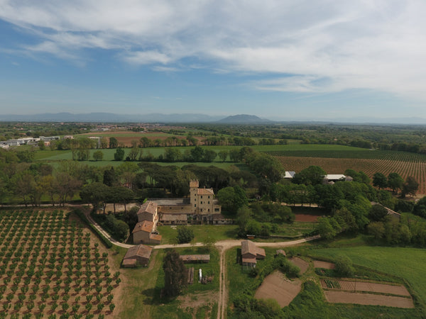 Azienda Agricola Tenuta Orsini - Ortelia, Colto e Mangiato 