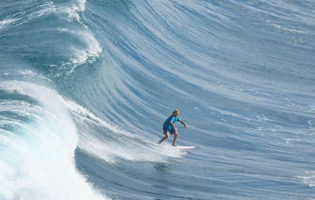 Score Oli surf wave Shelter