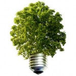 Ideas ecológicas