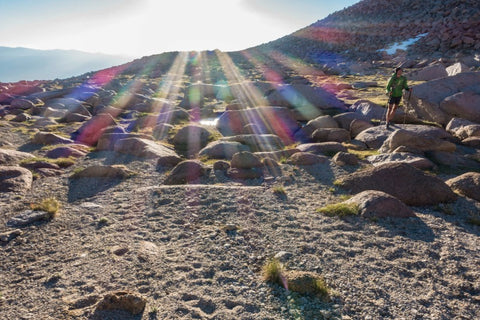 Mountainscape with trees and hiker