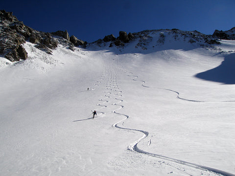 skiers skiing in the backcountry