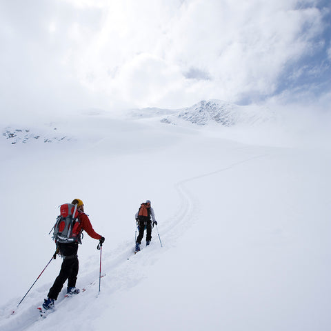 Skiers in the Sierras