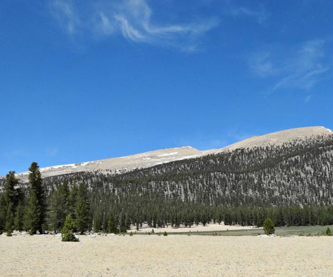 Big Whitney Meadow Loop