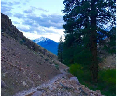 Lower Rock Creek Trail