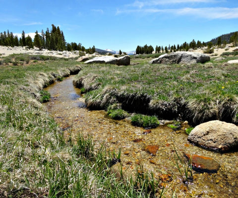 Big Whitney Meadow Loop