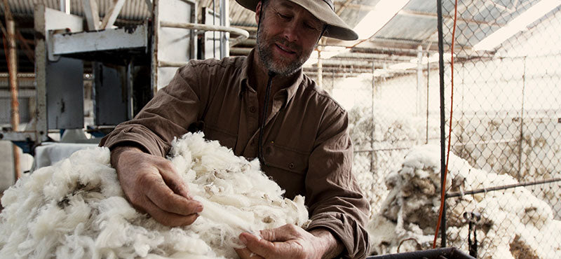 Dayle Lloyd examining a Merino wool fleece at Eden Valley Farm