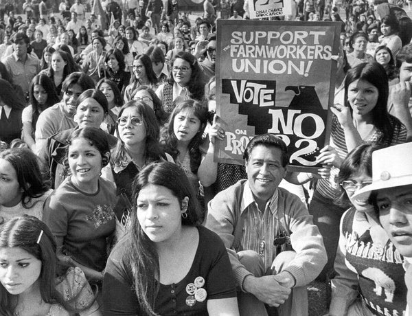 Students at Fresno State listen to Cesar Chavez speak on November 3, 1972. -- Courtesy The Fresno Bee