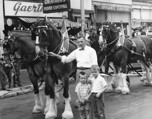 Jim Friedl, Phil Friedl, and Joe Cowin with Clydesdales for Waterloo’s Centennial Celebration, 1954. -- Courtesy Mary Friedl Nadeau