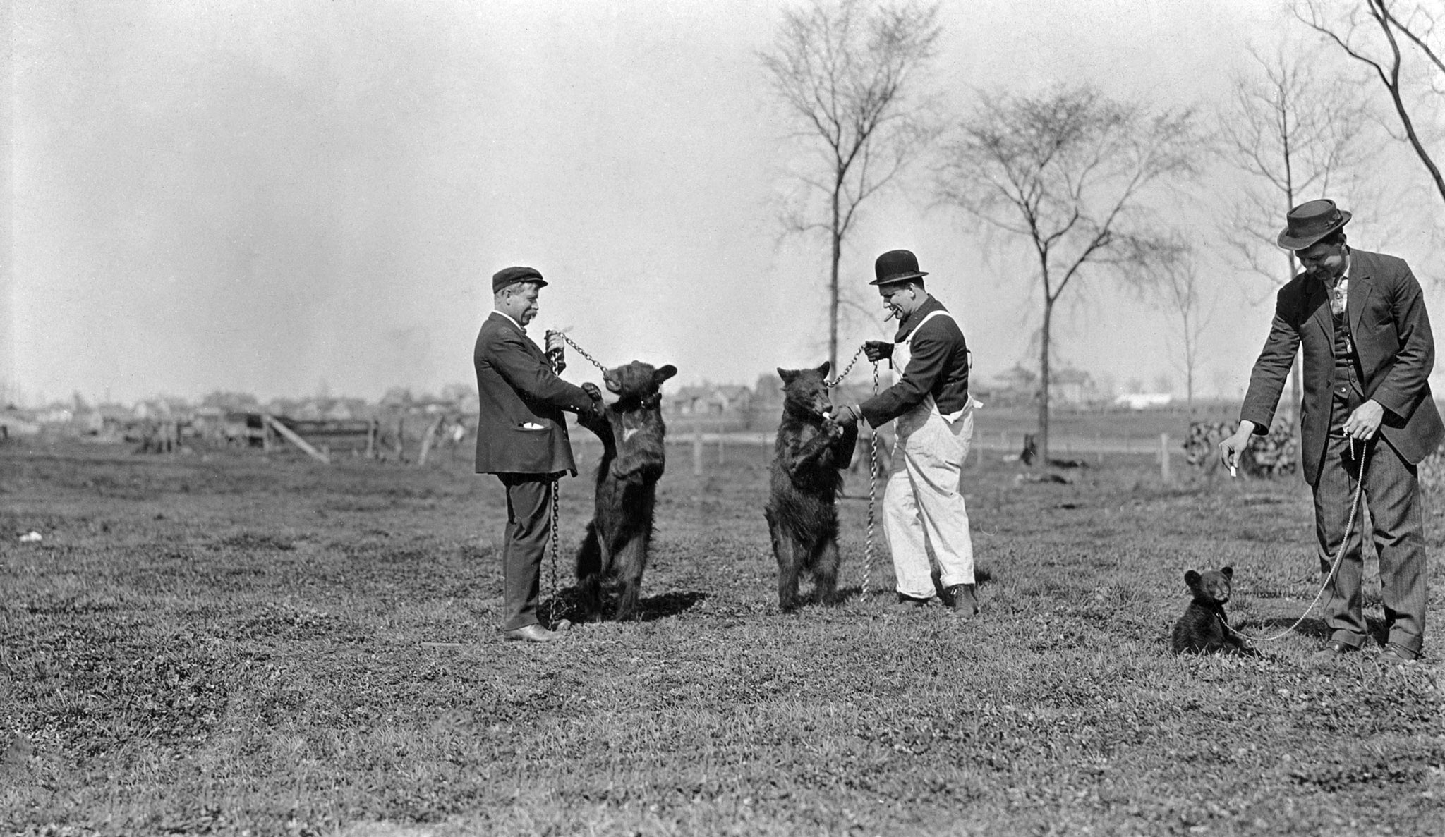 Officer Louis Thomson with two other men playing with leashed bears, circa 1910. These are believed to be the first bear cubs of what would become the Wildwood Zoo. -- Courtesy of the Marshfield History Project