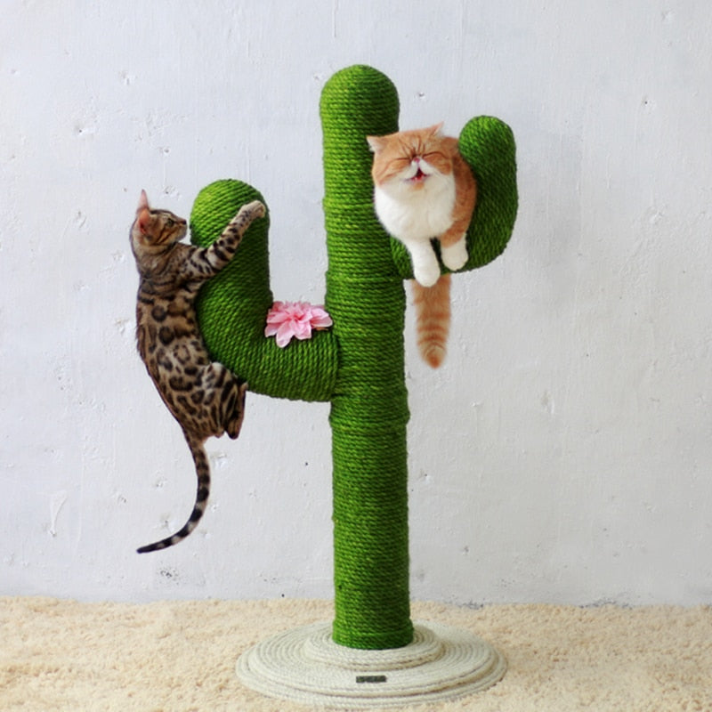 creative cat scratching post