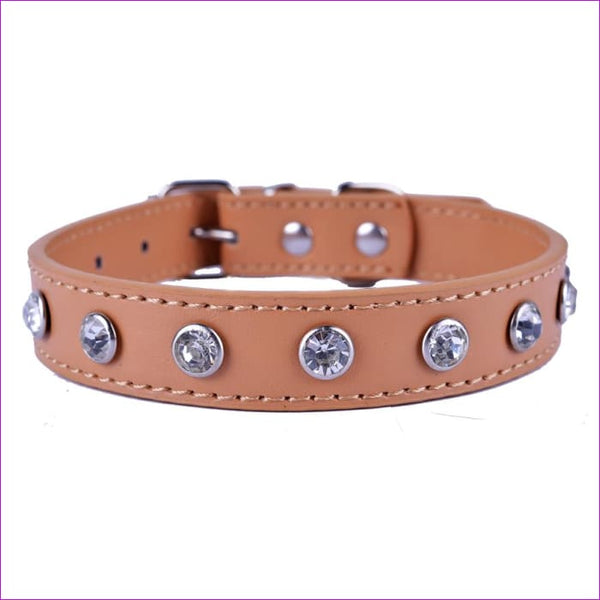 cute leather dog collars