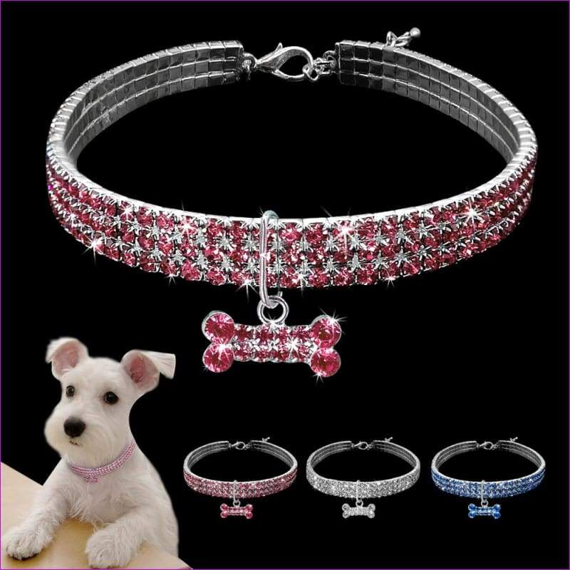 jeweled dog collar