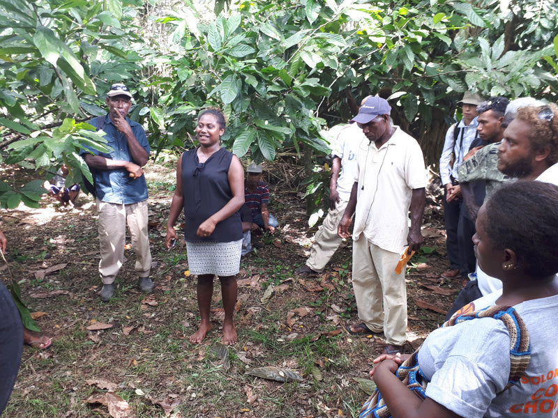 ocho-pacific-solomons-agnes