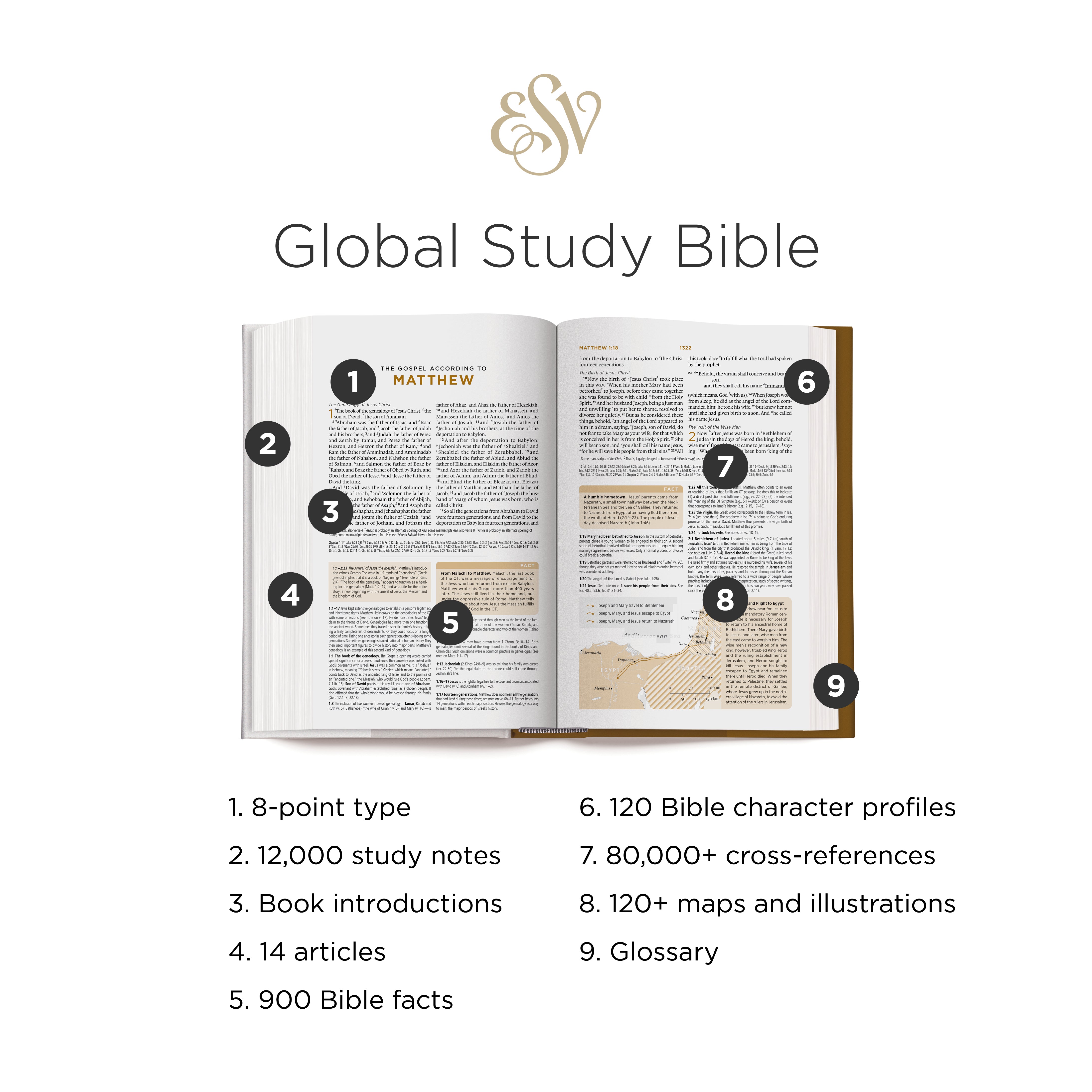GLOBAL STUDY BIBLE FEATURES