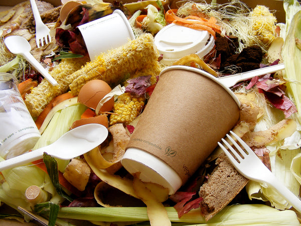 Eco-friendly catering disposables 