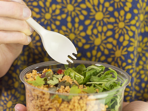 Biodegradable Disposable Spork and Salad Pot