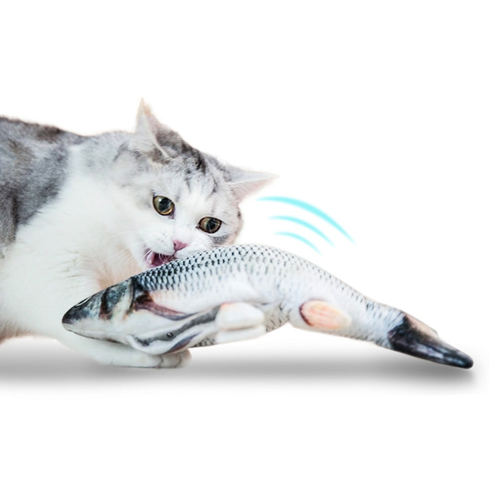 fish cat toy