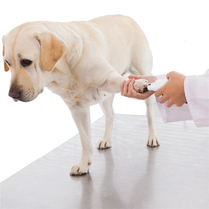 rechargeable dog nail grinder