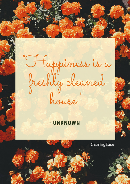 House cleaning quote poster 18