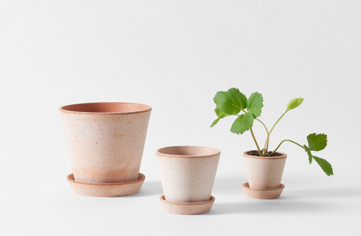 Small Terracotta Herb Pot Saucer – MARCH