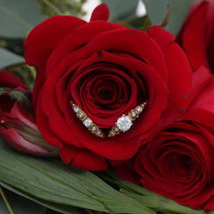 Rings in Roses