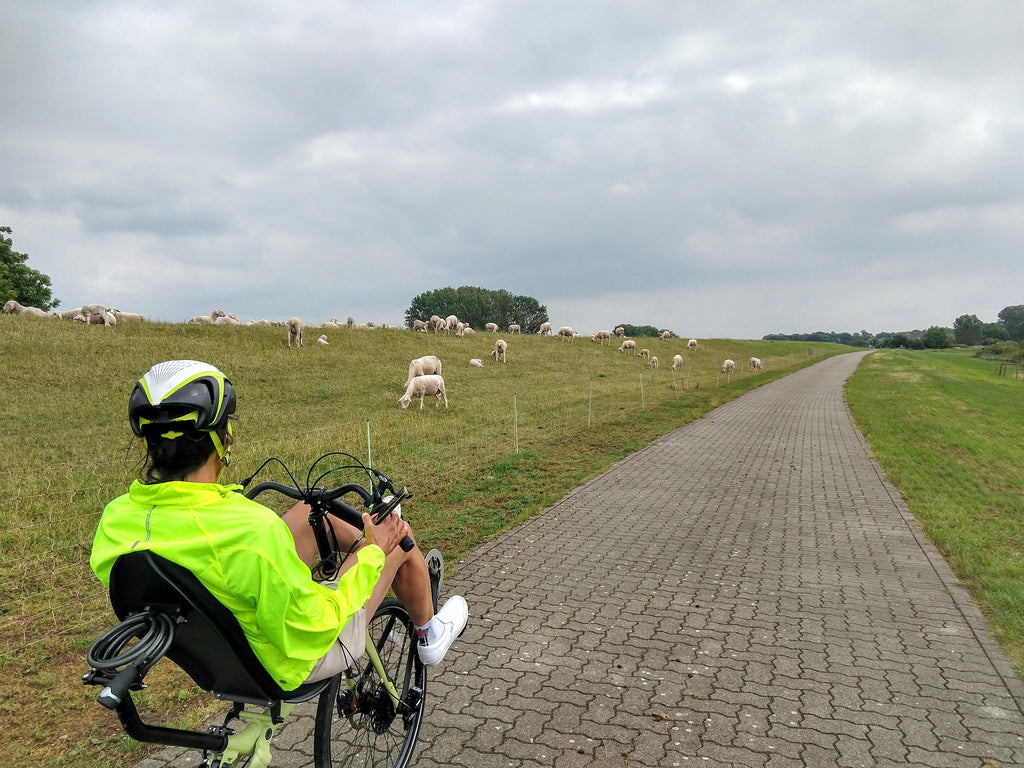 Bicycle touring on the Cruzbike Q45 touring recumbent bicycle in Germany