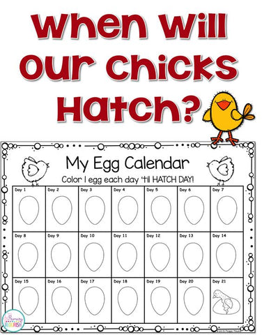 Chick countdown calendar