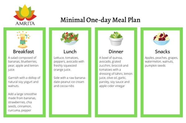 amrita minimalist one-day plan
