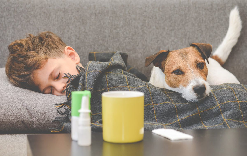 Try these steps first to combat your pet allergy