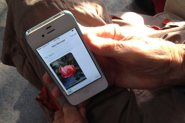 Flowers-for-your-phone-&-your-mobile-phone