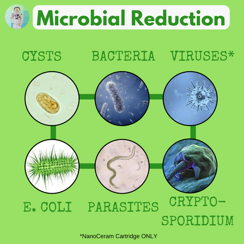 Microbial Reduction