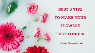 Best 5 Tips To Make Your Flowers Last Longer