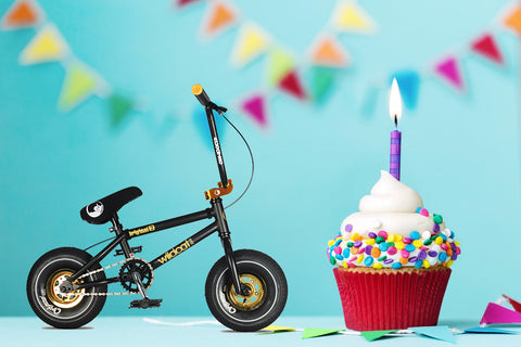 Wildcat Mini BMX 1st Birthday