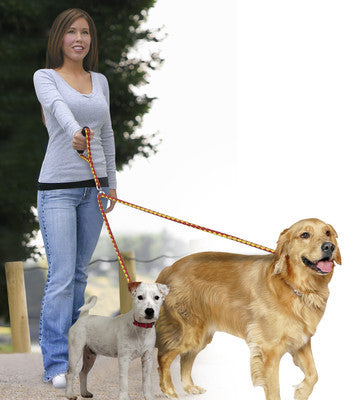 double leash for 2 dogs