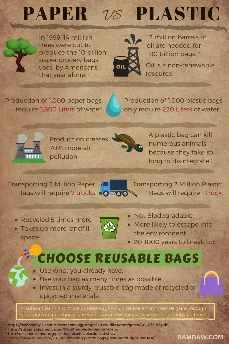 Paper vs Plastic Bag