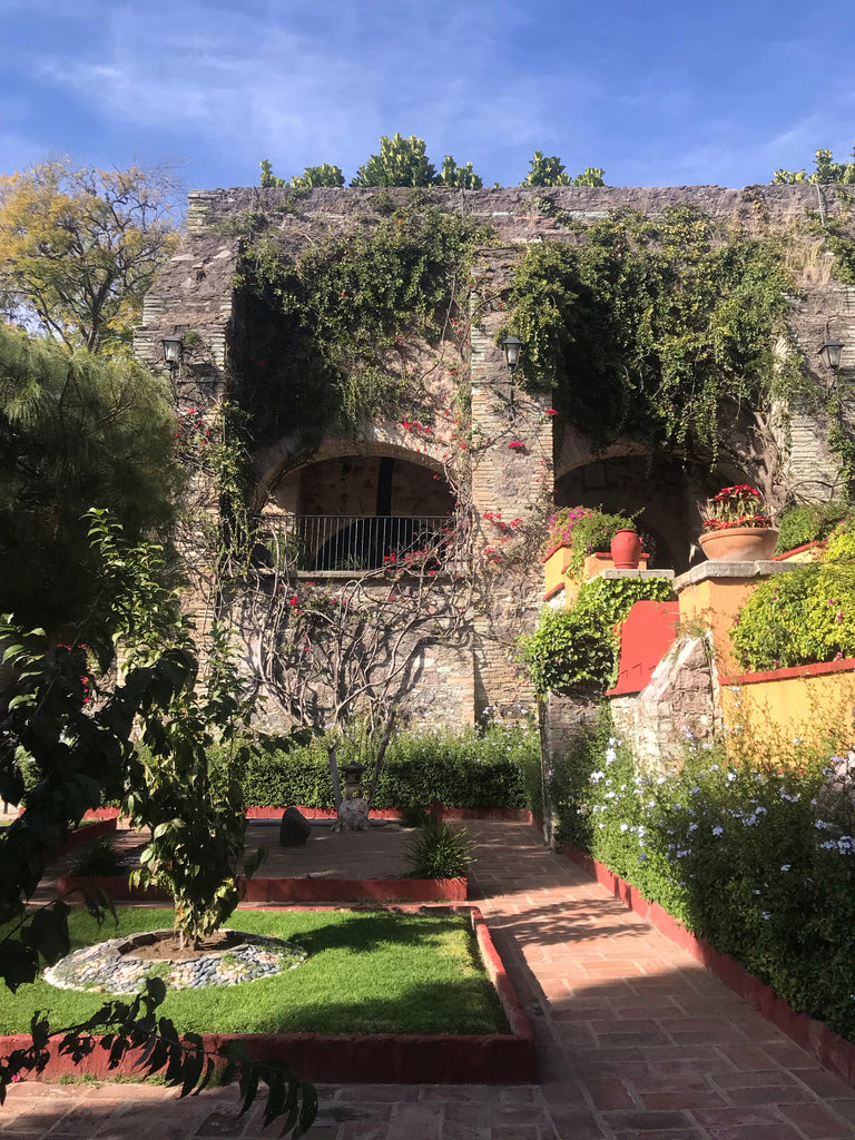 ex-hacienda_san gabriel de barrera_gardens_vines_flora